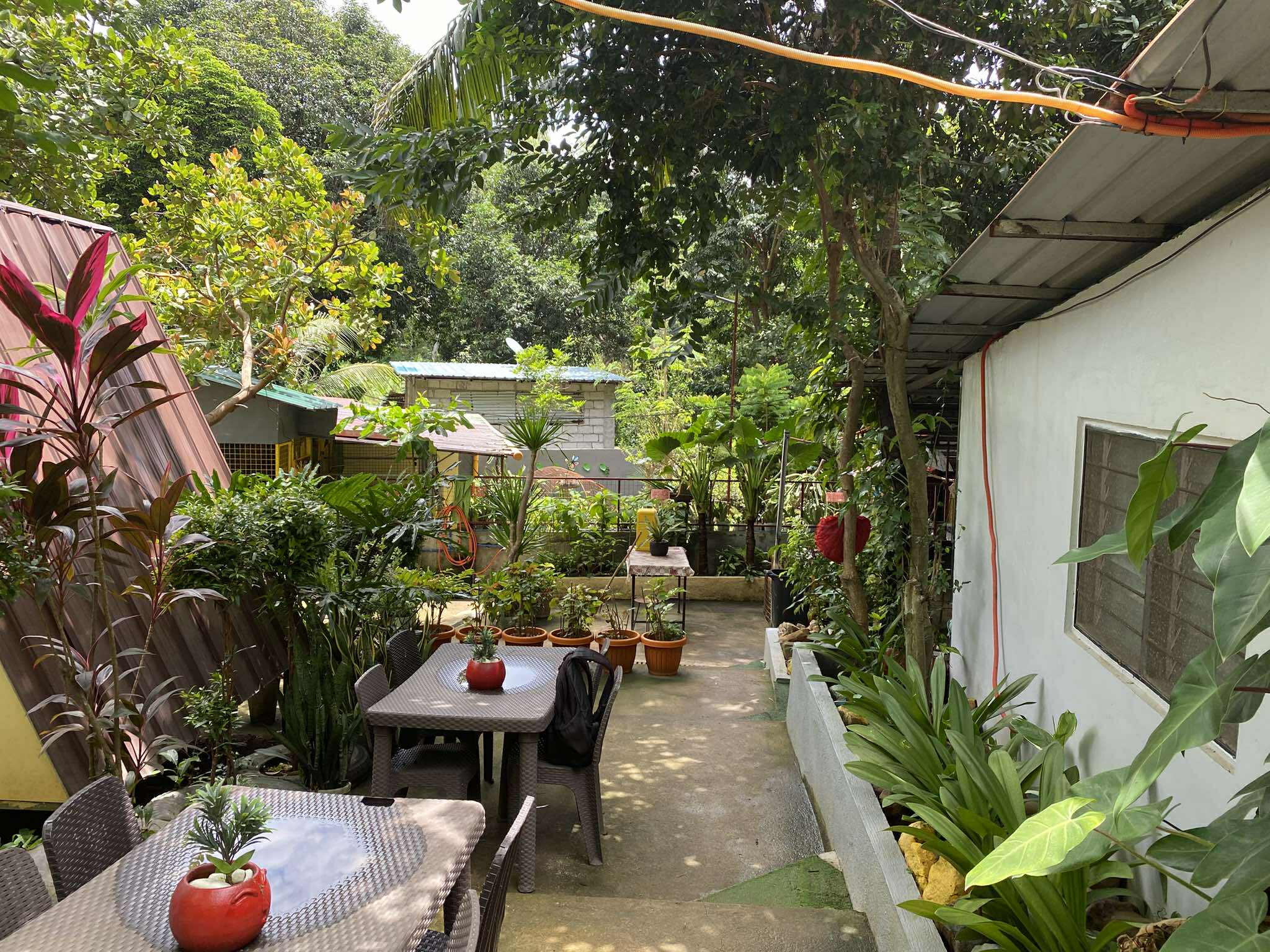 Resort Accommodations